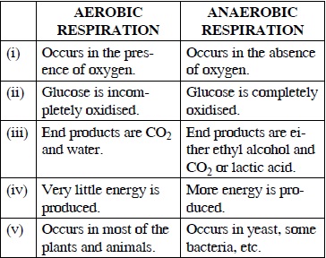 whats the difference between aerobic and anaerobic