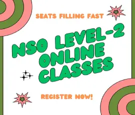nso-level-2 online classes