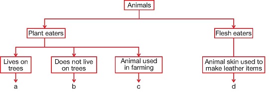 Monkey Classification Chart