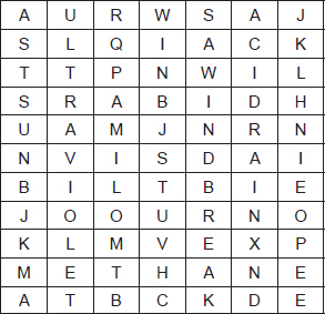 Word grid challenge