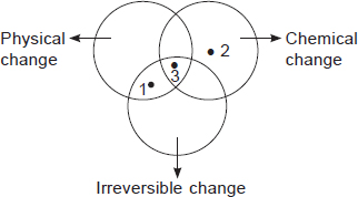 Physical Change Vs Chemical Change Venn Diagram